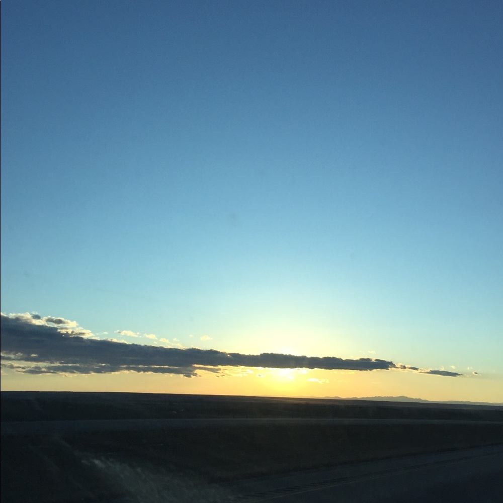 Meet your Posher, Paloma